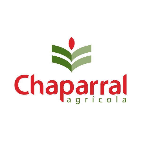 Cliente 3